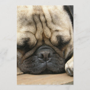 Sleeping Pug Invitation