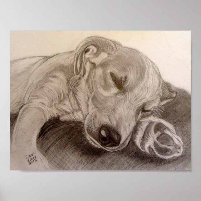 Sleeping Puppy Poster (Front)