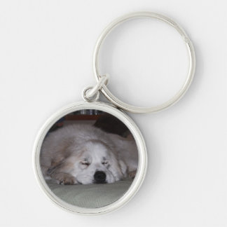 Sleeping Pyr Keychain