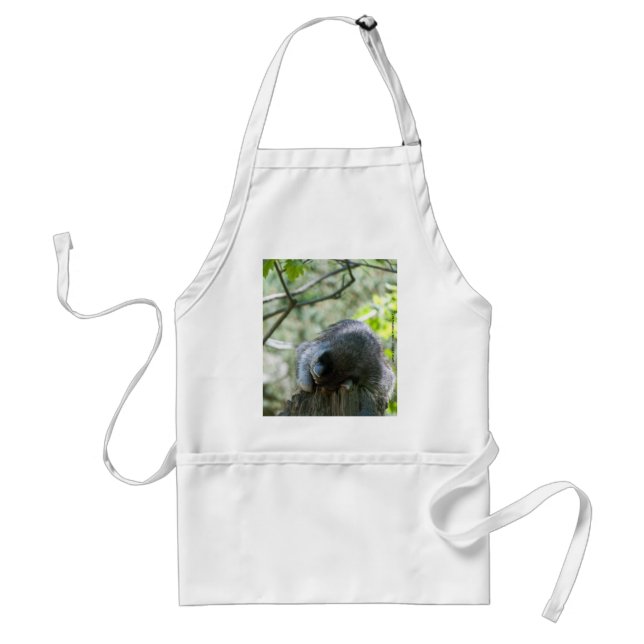 Sleeping Raccoon Aprons (Front)