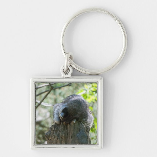 Sleeping Raccoon Keychain (Front)
