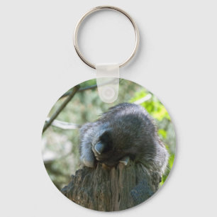 Sleeping Raccoon Keychain