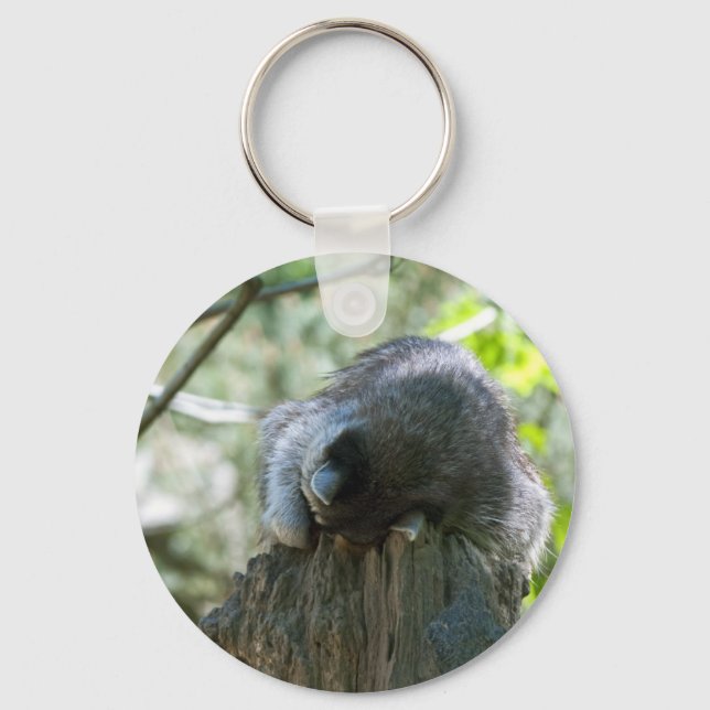 Sleeping Raccoon Keychain (Front)