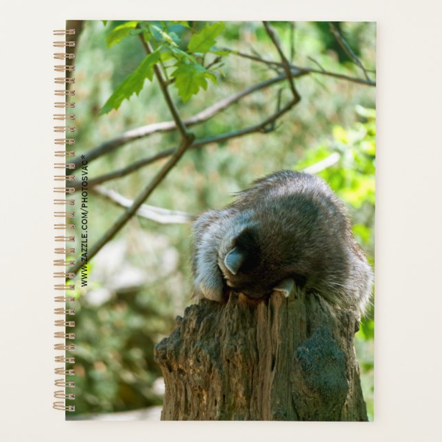 Sleeping Raccoon Stickers Planner (Front)