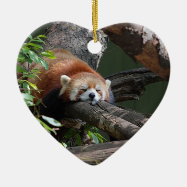 Sleeping Red Panda  Ornament (Front)