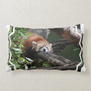 Sleeping Red Panda Pillow