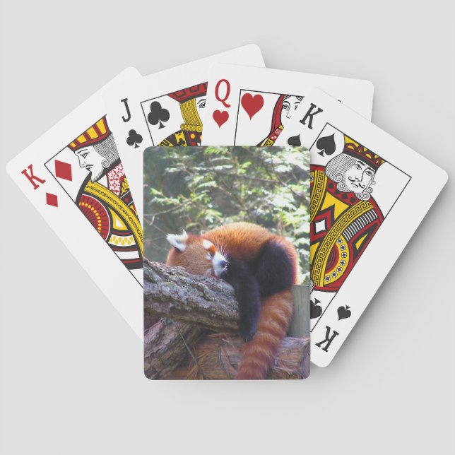 Sleeping Red Panda Playing Cards (Back)