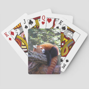 Sleeping Red Panda Playing Cards