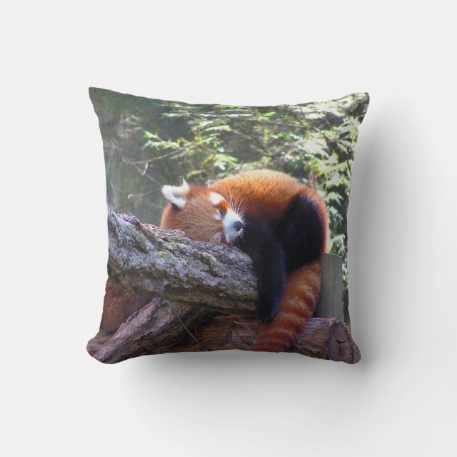 Sleeping Red Panda Throw Pillow (Front)