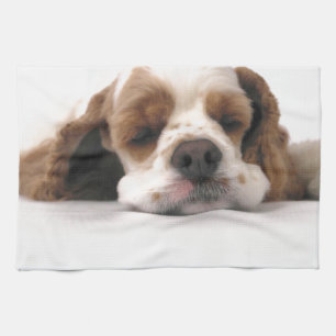 Sleeping Red/White Cocker Spaniel Kitchen Towel