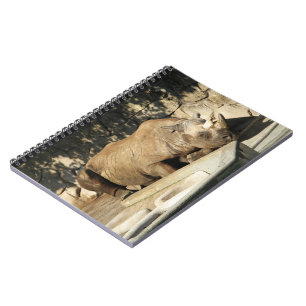 Sleeping Rhino Notebook
