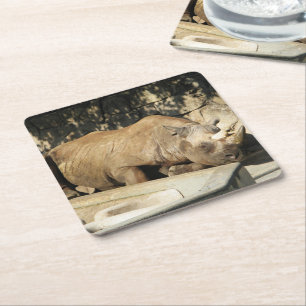 Sleeping Rhino Square Paper Coaster