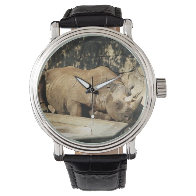 Sleeping Rhino Watch (Front)