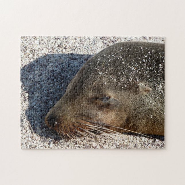 Sleeping Sea Lion Close Up, Jigsaw Puzzle (Horizontal)