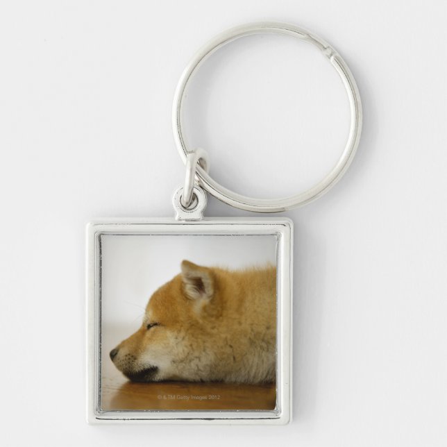 Sleeping Shiba-ken 2 Keychain (Front)