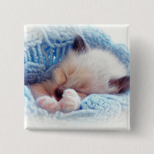 Sleeping Siamese Kitten Paws 2 Inch Square Button