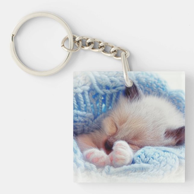 Sleeping Siamese Kitten Paws Keychain (Front)