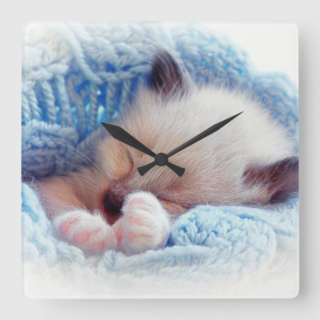 Sleeping Siamese Kitten Paws Square Wall Clock (Front)