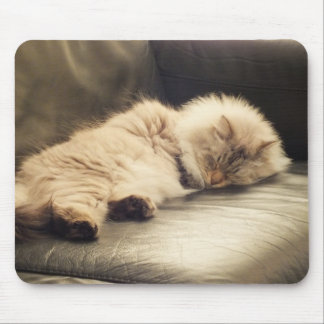 Sleeping Siberian Cat Mousepad