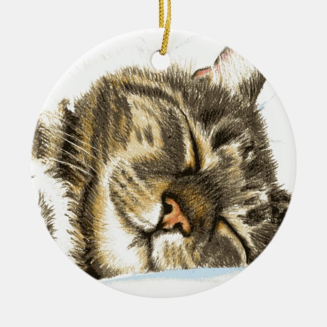 Sleeping tabby cat ceramic ornament (Front)