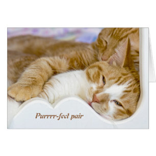 sleeping tabby cats hugging valentine