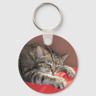 Sleeping Tabby Keychain
