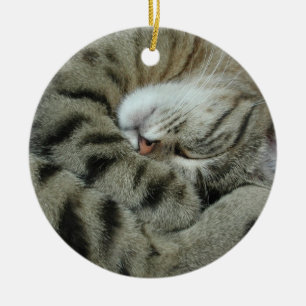 Sleeping Tiger-Cat Ceramic Ornament