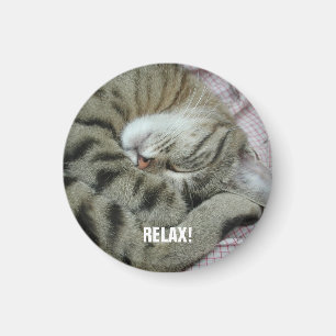 Sleeping Tiger-Cat Magnet