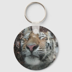Sleeping Tiger Keychain