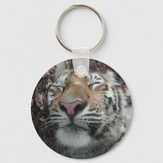 Sleeping Tiger Keychain (Front)