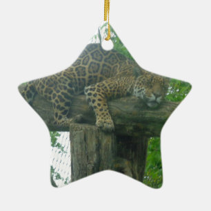 Sleeping Tiger on Tree, Forest, Nature, Wildlife Ceramic Ornament