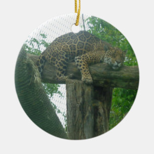 Sleeping Tiger on Tree, Forest, Nature, Wildlife Ceramic Ornament