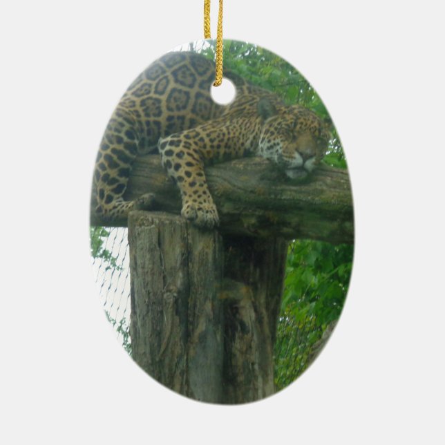Sleeping Tiger on Tree, Forest, Nature, Wildlife Ceramic Ornament (Back)