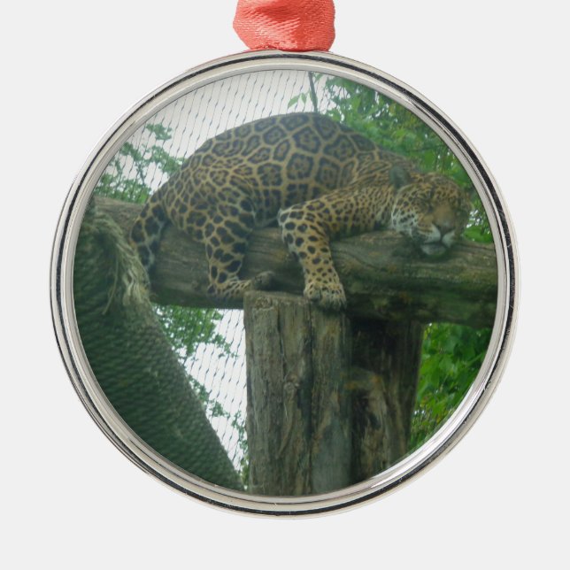 Sleeping Tiger on Tree, Forest, Nature, Wildlife Metal Ornament (Front)