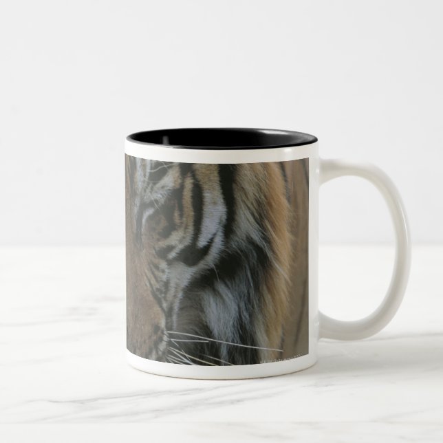 Sleeping Tiger Two-Tone Coffee Mug (Right)