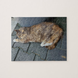 Sleeping tortie jigsaw puzzle