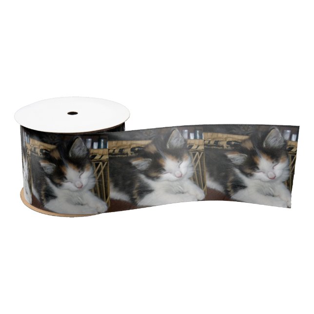 Sleeping Tortoiseshell Kitten, Satin Ribbon (Spool)