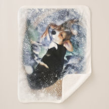 Sleeping Welsh Corgi