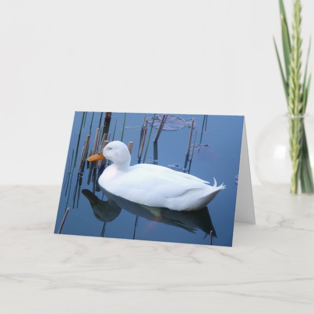 Sleeping White Duck Reflection Card (Front)