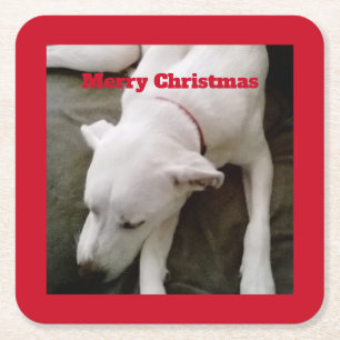 Sleeping White Puppy Dog Christmas Square Paper Coaster
