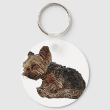Sleeping Yorkie