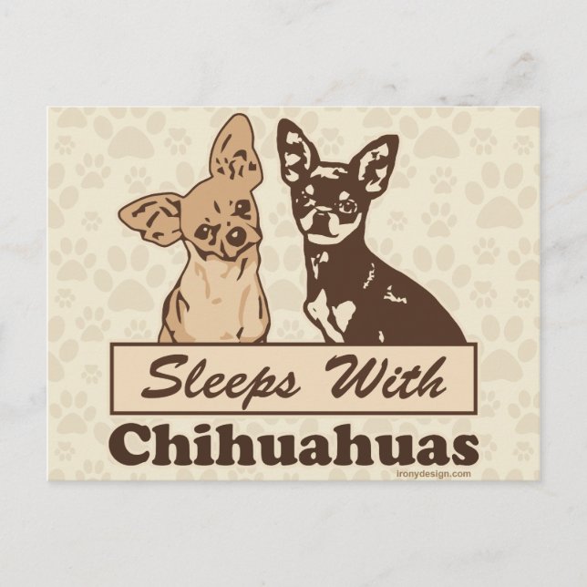 Sleeps With Chihuahuas Postcard (Front)