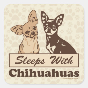 Sleeps With Chihuahuas Square Sticker