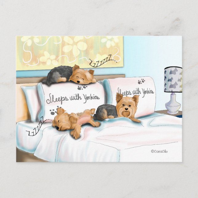 Sleeps with Yorkies Postcard (Front)