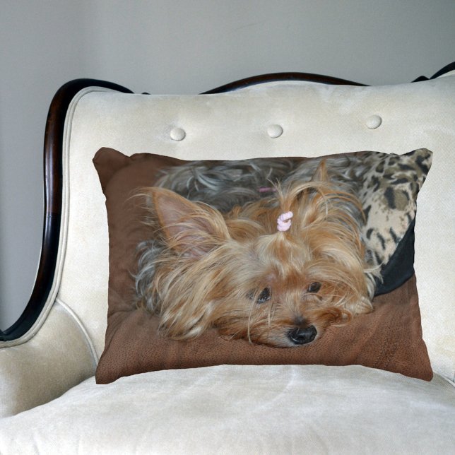 Sleepy Adorable Yorkshire Terrier Puppy Accent Pillow (Creator Uploaded)