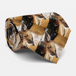 Sleepy Australian Kangaroo, Tie