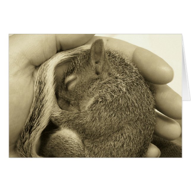 Sleepy Baby (Front Horizontal)