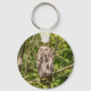 Sleepy Barred Owl Keychain