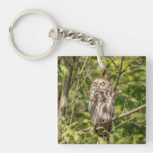 Sleepy Barred Owl Keychain