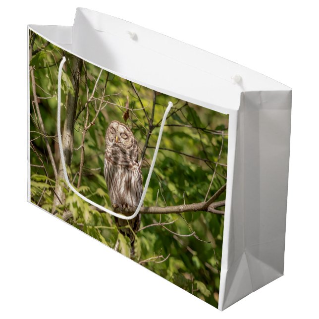 Sleepy Barred Owl Large Gift Bag (Front Angled)